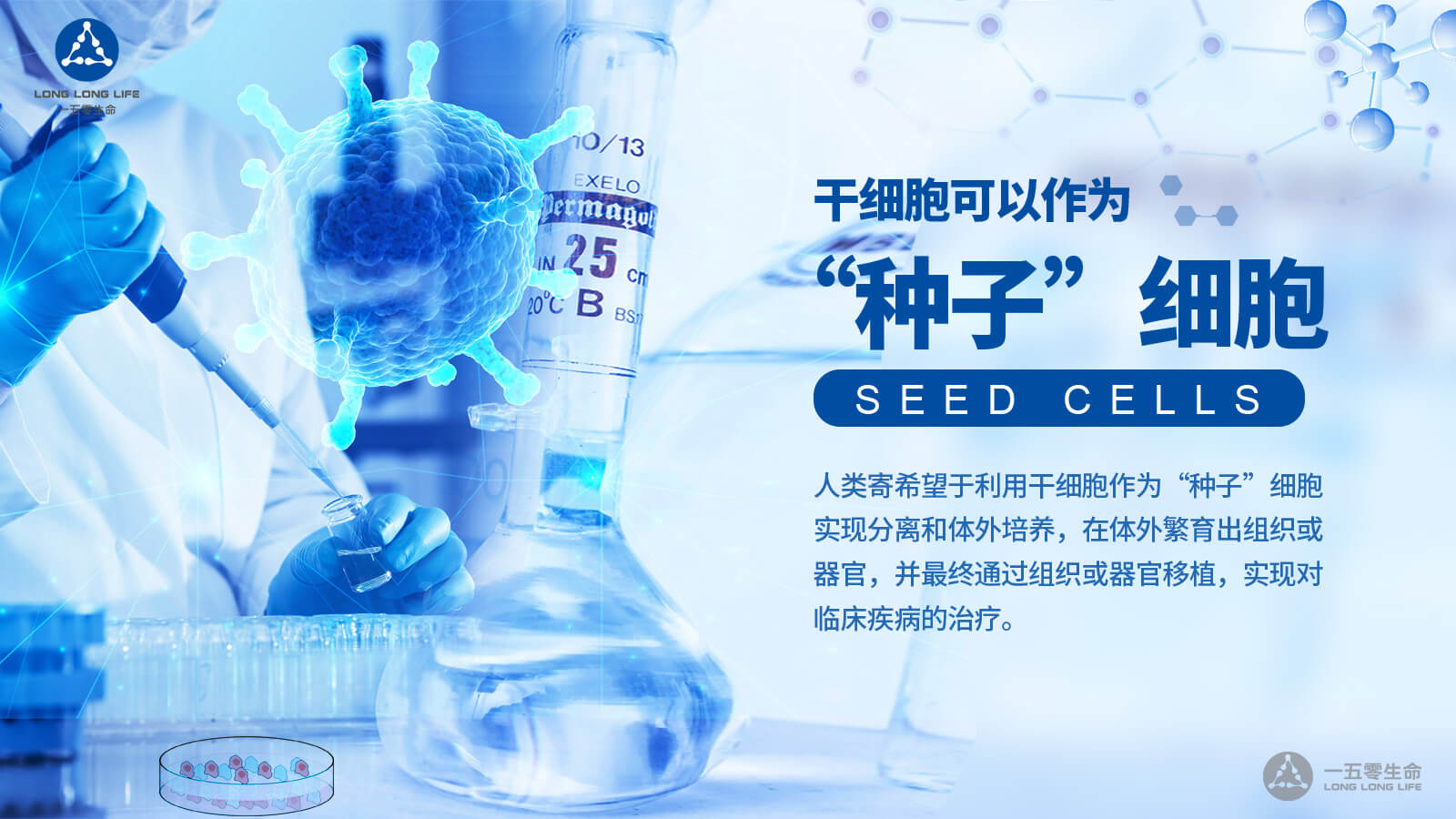 干細胞療法在抑郁癥治療中最新研究方向  