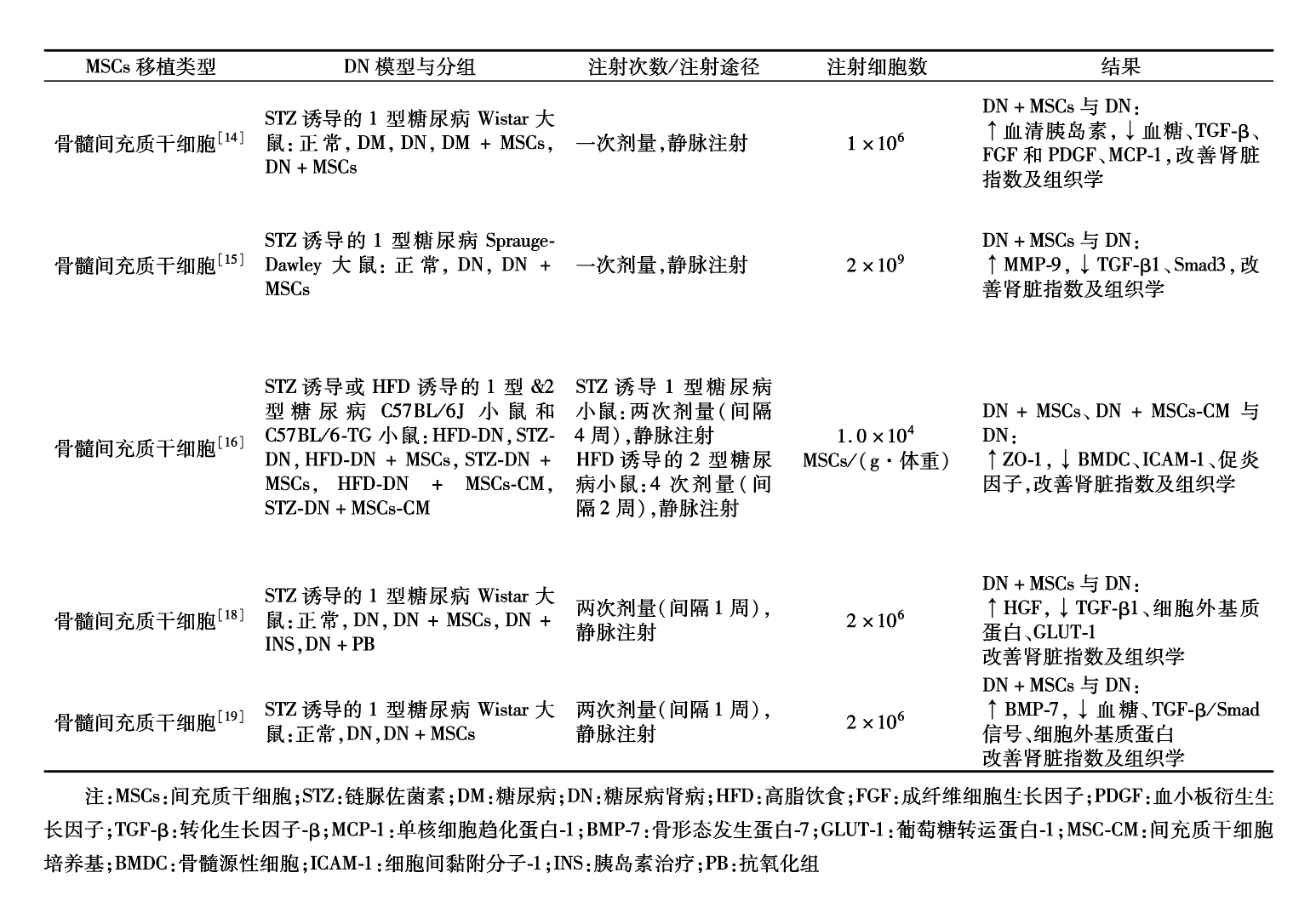 干細(xì)胞