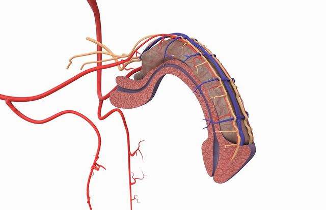 干細胞治療男性勃起功能障礙，恢復男性自信！