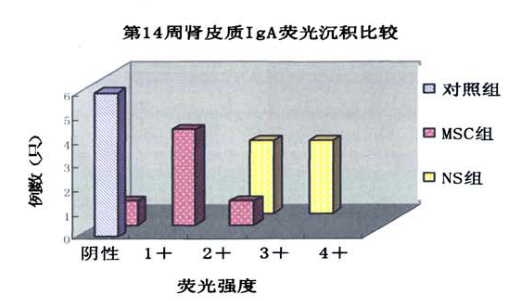 干細(xì)胞治療