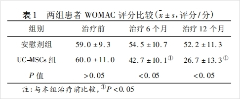 干細(xì)胞移植