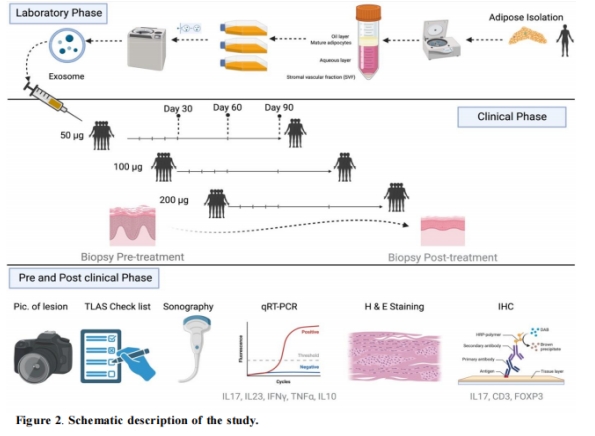 外泌體臨床試驗(yàn)